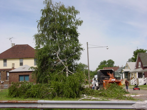 ./Gallery/2011 Bennet Lot Tree Removal/DSC06446.JPG